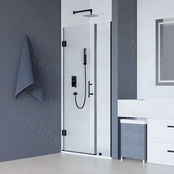 Душевая дверь RGW Hotel HO-012-B 100x195, профиль черный