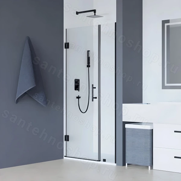 Душевая дверь RGW Hotel HO-012-B 100x195, профиль черный