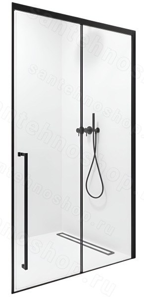 Душевая дверь Timo TDSS-120/03C-8L 120x200, профиль черный 120x200, профиль черный