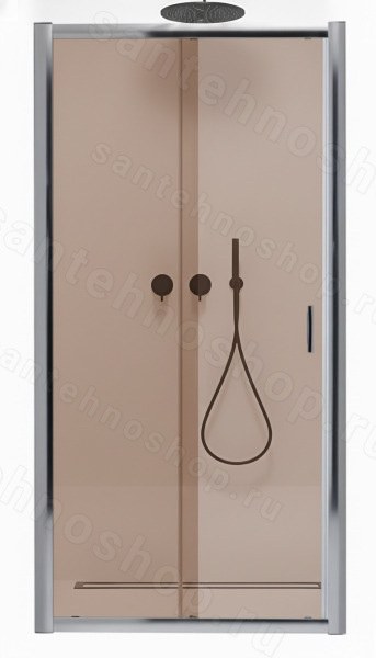 Душевая дверь Radaway Premium Plus DWJ 100 33303-01-08N