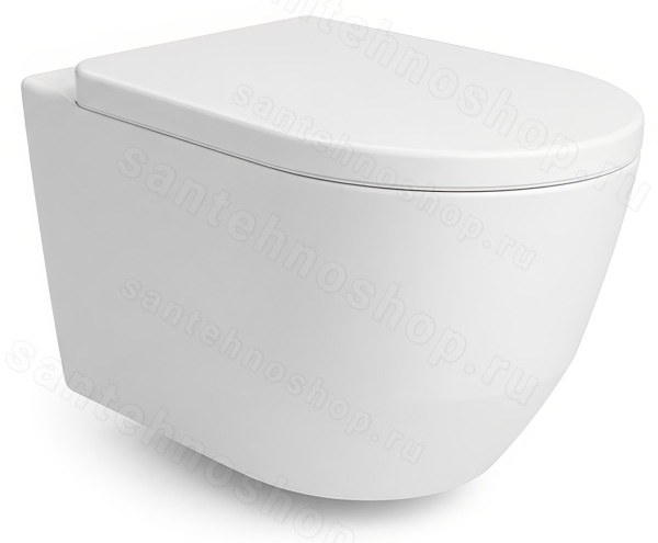 Подвесной унитаз Laufen Pro 6.2096.6.395.000.1, белый с сиденьем, белый с сиденьем