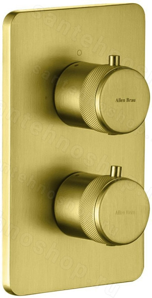 Встраиваемый смеситель для ванны Allen Brau Priority 5.31213-GB, золото брашированное