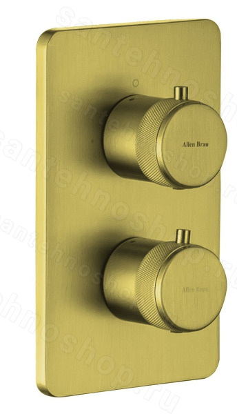 Встраиваемый смеситель для ванны Allen Brau Priority 5.31314-GB, золото брашированное