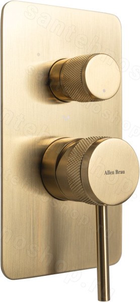 Встраиваемый смеситель для ванны Allen Brau Priority 5.31A11-GB, золото брашированное