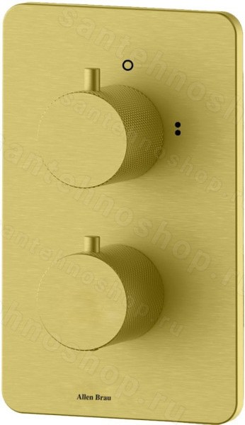 Встраиваемый смеситель для ванны Allen Brau Priority 5.3U123-GB, золото брашированное