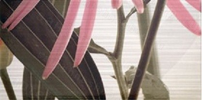 Настенный декор Ape Elegance Euphoria Perla-4