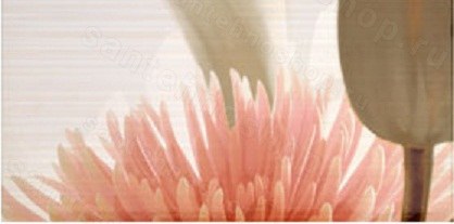 Настенный декор Ape Elegance Euphoria Crema-2