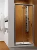 Душевая дверь Radaway Premium Plus DWJ 100