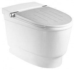 Электронный унитаз Orans IT-809