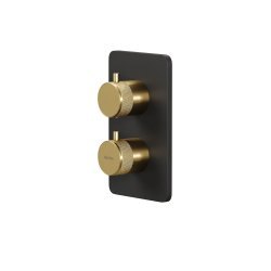 Встраиваемый смеситель для ванны Allen brau Priority 5.31213-31GB, черный матовый / золото брашированное