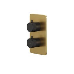 Встраиваемый смеситель для ванны Allen brau Priority 5.31213-GB31, черный матовый / золото брашированное