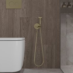 Гигиенический душ OLIVEEKA Y OL-829902-BG со смесителем, золотой матовый