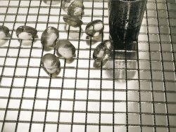 Мозаика L´Antic Colonial Mosaics Gold White