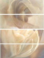 Настенный декор Ape Jocker Set (4) Beauty