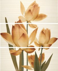 Настенный декор Ape Liberty Casanova/Liberty Crema (комплект)