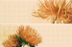 Настенный декор Ape Life Set (2) Pasione (комплект из 2-х штук)