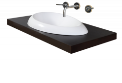 Раковина накладная PAA Organic