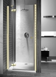 Душевая дверь Radaway Almatea Gold DWJ