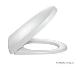 Сиденье Jacob Delafon Odeon Up 8407K-00