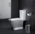 Унитаз Roca «Gap 342477000»