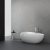 Акриловая ванна Black & White SB227 170x95 , отдельностоящая, белая