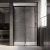 Душевая дверь Veconi Premium Trento PTD-30B 140x200, профиль черный