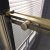 Душевая дверь Veconi Premium Trento PTD-40G 140x200, профиль золотой