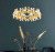 Подвесная люстра Imperiumloft MARIOLA IMPR_219627-23