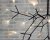 Подвесная люстра Imperiumloft Mi Heracleum IMPR_189642-22