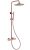 Душевая система Abber Wasser Kreis AF8160RG, золото