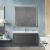 Зеркало с подсветкой Cezares Interni CZR-SPC-INT-1000-900-LED-TCH-WARM-TIT 100x90, титан