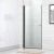 Душевая дверь Cezares ECO ECO-O-B-1-90-C-NERO 90x190, распашная, профиль черный матовый