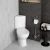 Унитаз-компакт VitrA Arkitekt 9754B003-7201, белый с сиденьем и бачком