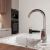Смеситель для кухни WasserKRAFT Vils 5600 5607